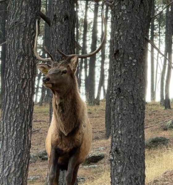 PARQUE ECOLÓGICO EL TECÚAN. Foto - Parque Ecológico El Tecuán (Facebook)