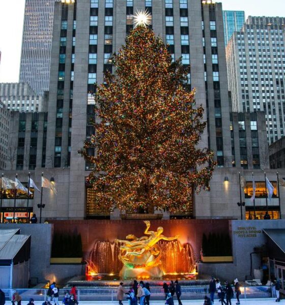 ROCKEFELLER CENTER RECIBE ÁRBOL DE NAVIDAD 2026. Foto - Kaydn Ito (Unsplash)