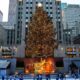 ROCKEFELLER CENTER RECIBE ÁRBOL DE NAVIDAD 2026. Foto - Kaydn Ito (Unsplash)