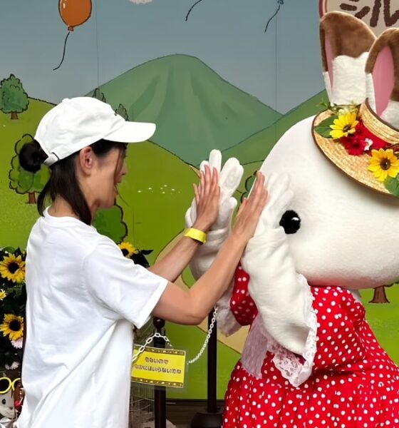 SYLVANIAN PARK EN IBARAKI. Foto - @yukko928 (Instagram)