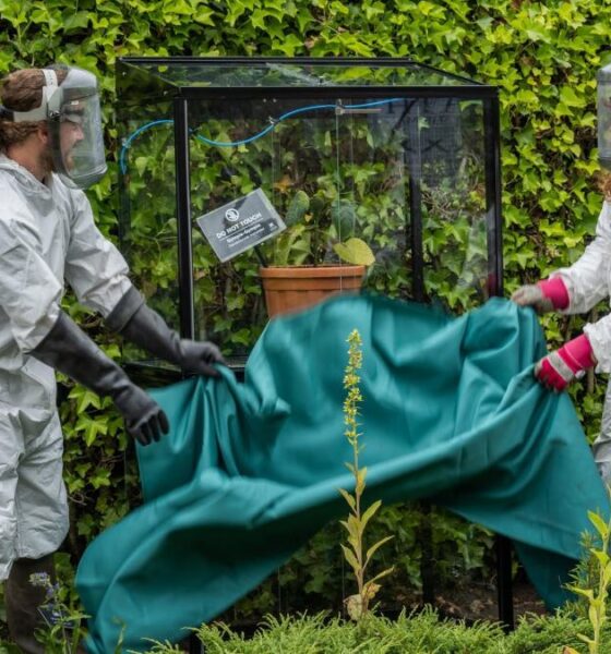 THE POISON GARDEN. Foto - The Alnwick Garden (Facebook)