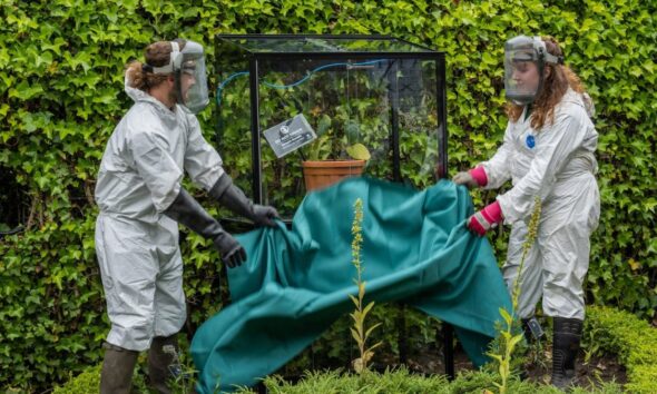 THE POISON GARDEN. Foto - The Alnwick Garden (Facebook)