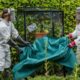 THE POISON GARDEN. Foto - The Alnwick Garden (Facebook)